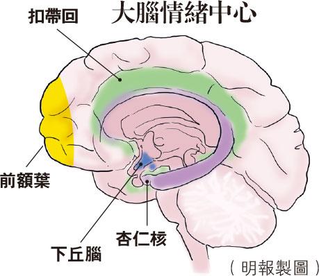 情緒病, 壓力, 情緒, 心理學, 都市壓力