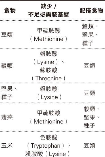 蛋白質,素食,營養,胺基酸,