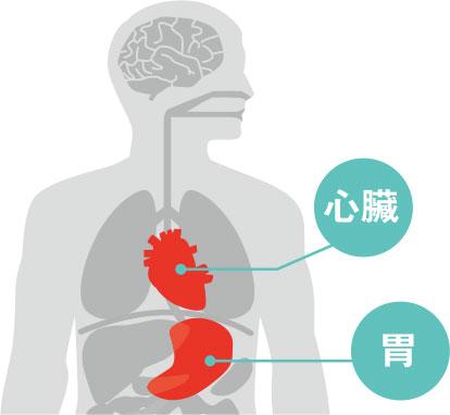 心臟病、胃痛徵狀易混淆 小心隨時無命