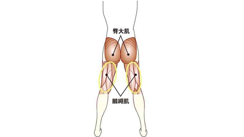 跑步, 姿治通鑑, 肌力, 軟組織勞損, 肌肉運用模式, 跑步治療, 肌肉運用次序,