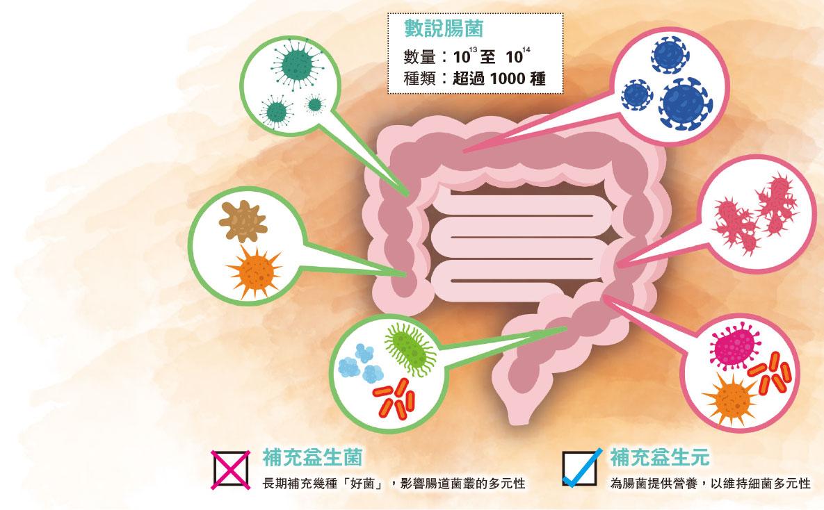 【益生菌】日日食益生菌 反致腸菌失衡