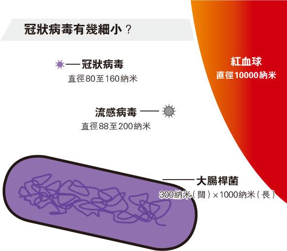 【抗疫你要知】冠狀病毒大解構 黐宿主受體入侵