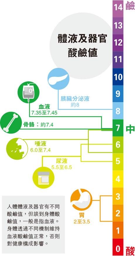 人體酸鹼自動調節 飲食改變嘥氣