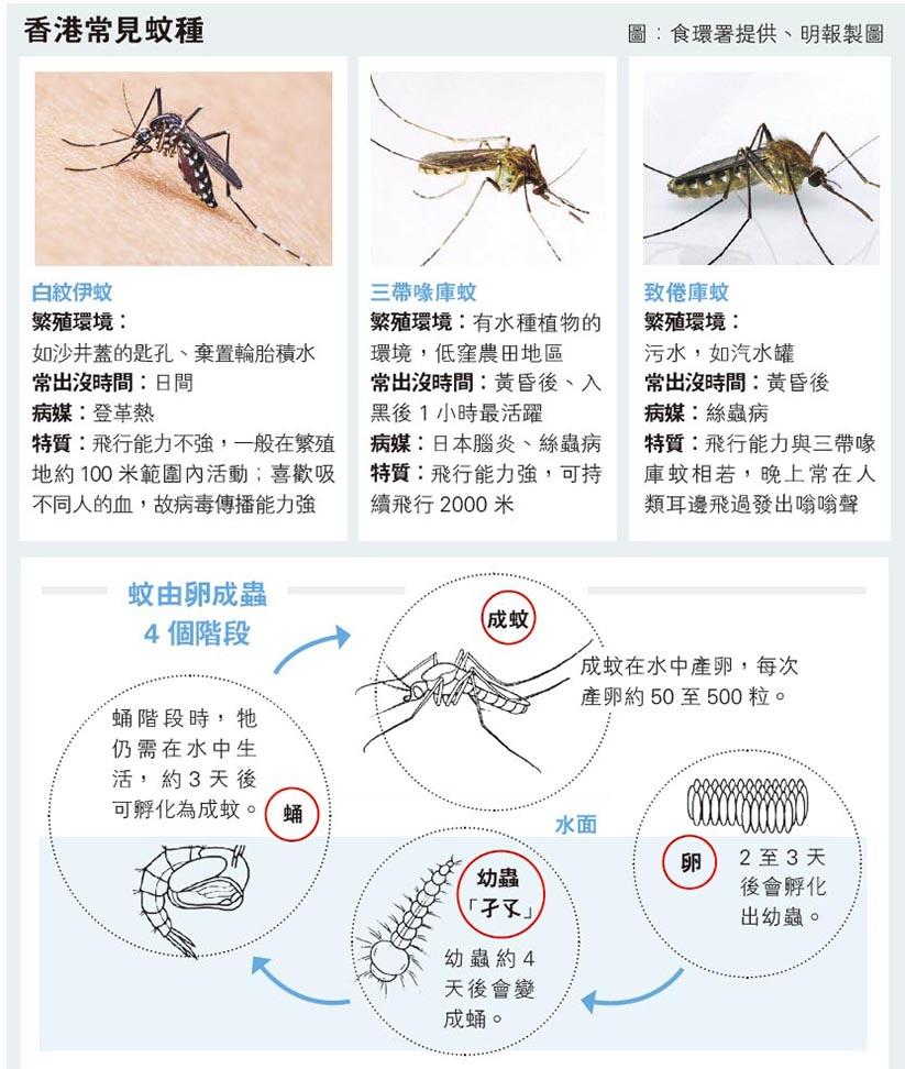 天氣熱被蚊叮痕癢難忍　學識源頭滅蚊　善用滅蟲燈、蚊香、蚊貼