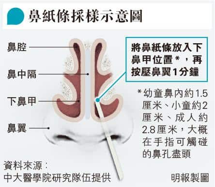 新冠肺炎｜研究：鼻紙條放鼻腔1分鐘 可自行採樣適合兒童長者 檢測準確度勝深喉唾液