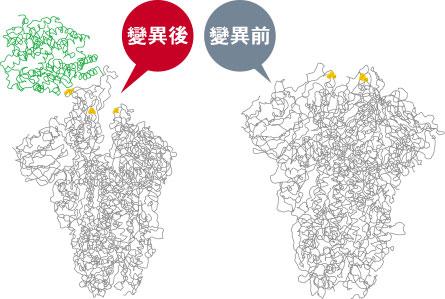 新冠肺炎丨英國丹麥荷蘭意大利現新變種病毒株 梁卓偉：港若現輸入個案繁殖率由0.81增至1.42 科學家推斷變異令病毒如鎖匙般易插入細胞