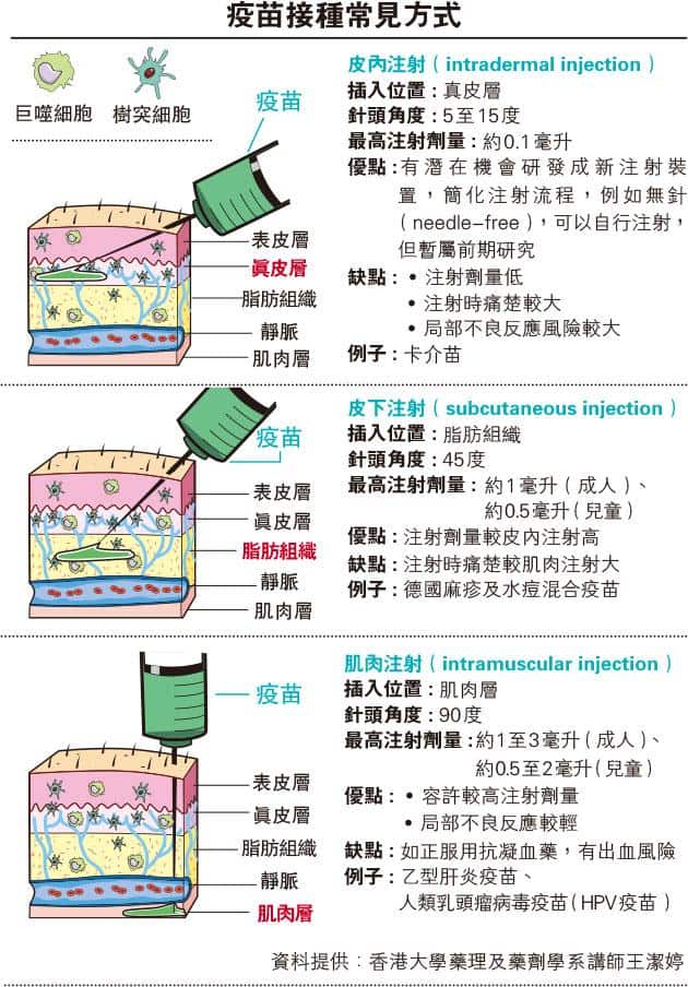 疫苗接種方式知多啲 肌肉注射、皮內注射、皮下注射有何分別？拆解3個打針迷思