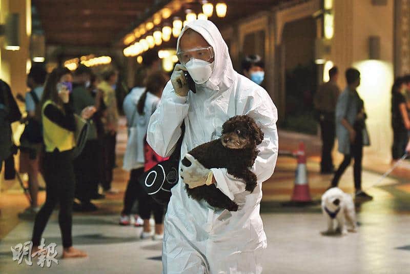 本港首宗變種病毒源頭不明個案 染疫菲傭病徵咳嗽 病毒量高 許樹昌：初步屬南非病毒株 科興BioNTech疫苗能中和