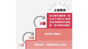 有疼痛食止痛藥？過量影響胃肝腎心血管 世衛止痛階梯3個階段 1級由撲熱息痛開始 循序漸進減副作用