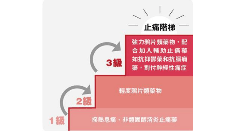 有疼痛食止痛藥？過量影響胃肝腎心血管 世衛止痛階梯3個階段 1級由撲熱息痛開始 循序漸進減副作用