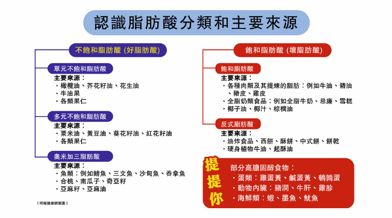 【壞膽固醇食物】嚴控優質脂肪酸及膽固醇攝取利健康 營養師教你智選食物