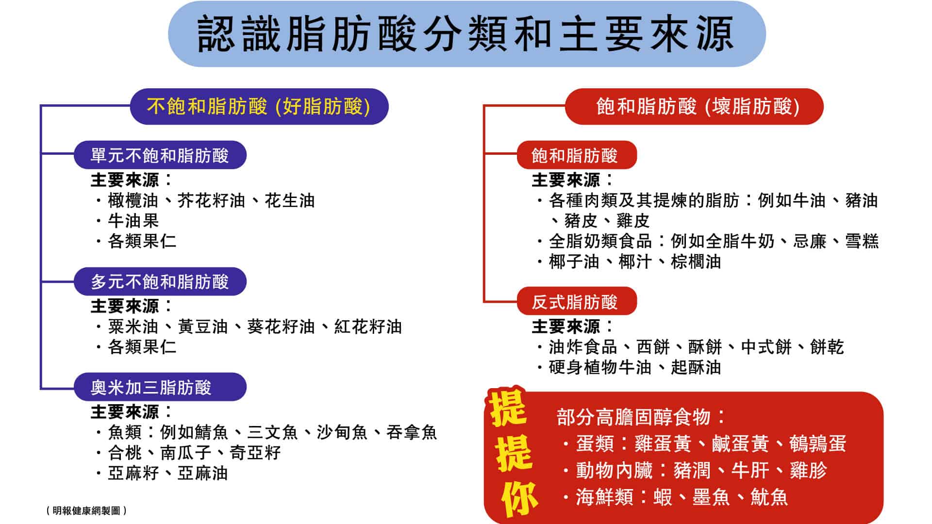 哪些是好膽固醇食物呢？哪些是必須注意的壞膽固醇食物呢？立即認識脂肪酸是什麼？