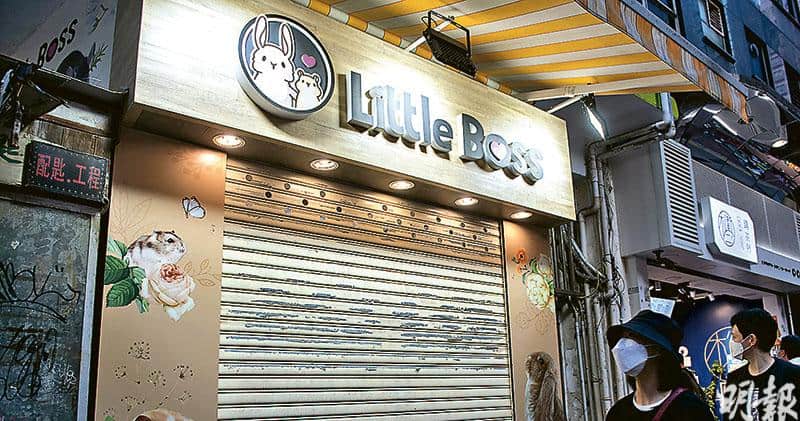 銅鑼灣渣甸街Little Boss寵物店。（朱安妮攝，明報資料圖片）