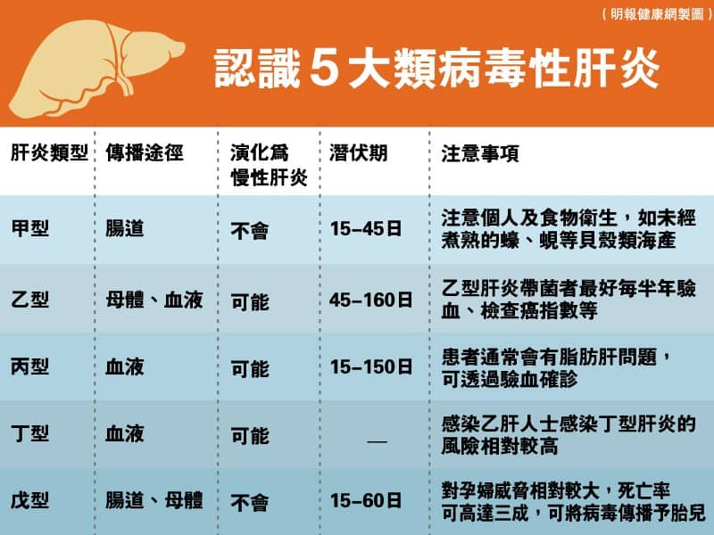 拆解甲型至戊型5大類病毒性肝炎（明報健康網製圖）