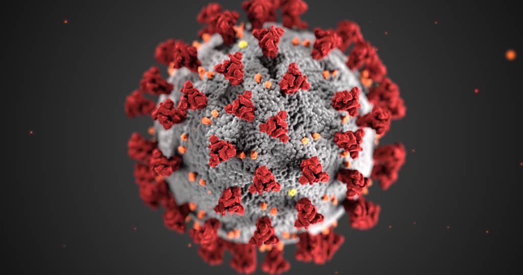 美國疾控中心發布的新冠病毒構想圖。（美國疾控中心網站圖片）
