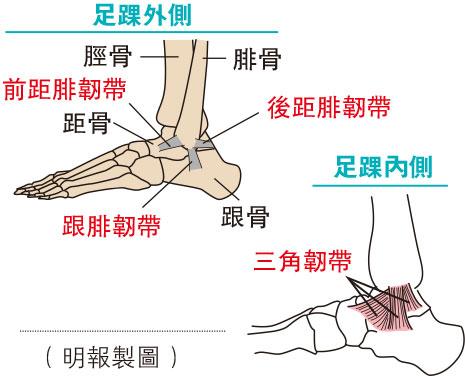 【拗柴】足踝扭傷6大風險 逾七成半傷者外側韌帶受傷 簡易運動強小腿肌肉