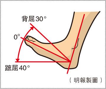 阿基里斯跟腱在哪？跟腱斷裂原因？術後護理、復康訓練４階段