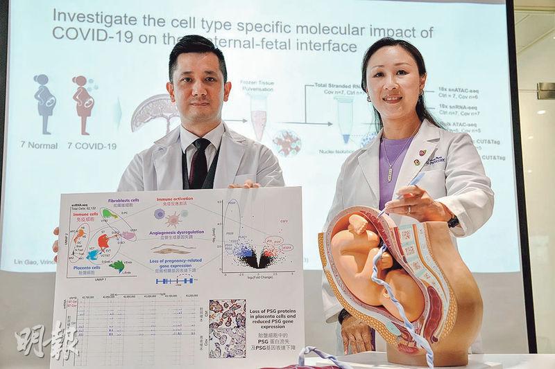 【孕婦】研究：感染新冠增糖尿、高血壓等妊娠晚期併發症機會 胎盤異常風險增 有症狀盡早快測