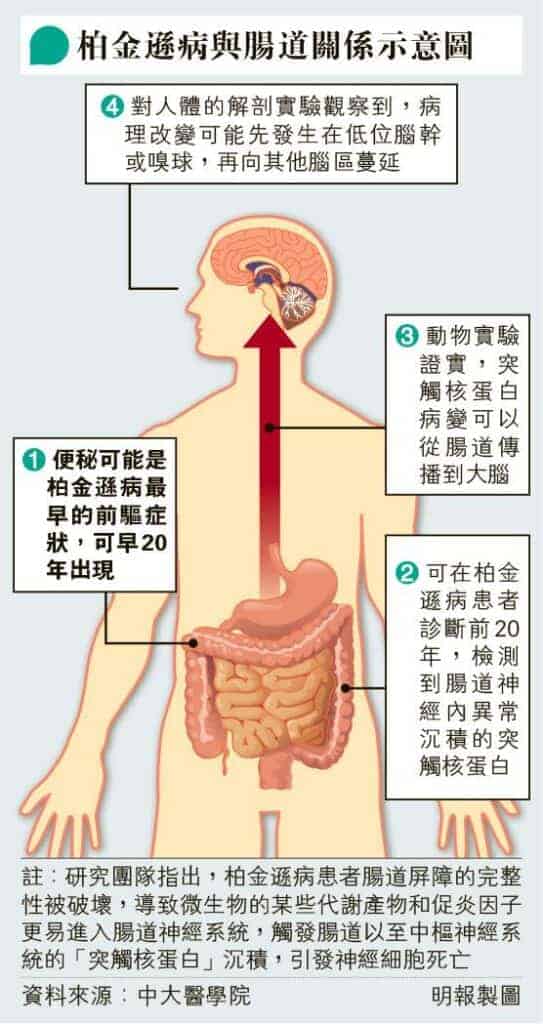 【腸道健康】柏金遜症與腸道失衡有關?便秘等症狀早20年出現?團隊:益生菌高纖食物有望預防