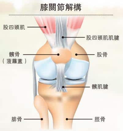 【膝痛】前膝髕骨上中下3個痛點 成因有不同 跑友常見髕股關節綜合徵