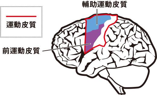 【點解會笑】笑能抗抑鬱？笑會出縐紋？擳自己唔會笑？假笑苦笑可減壓？教你笑多啲