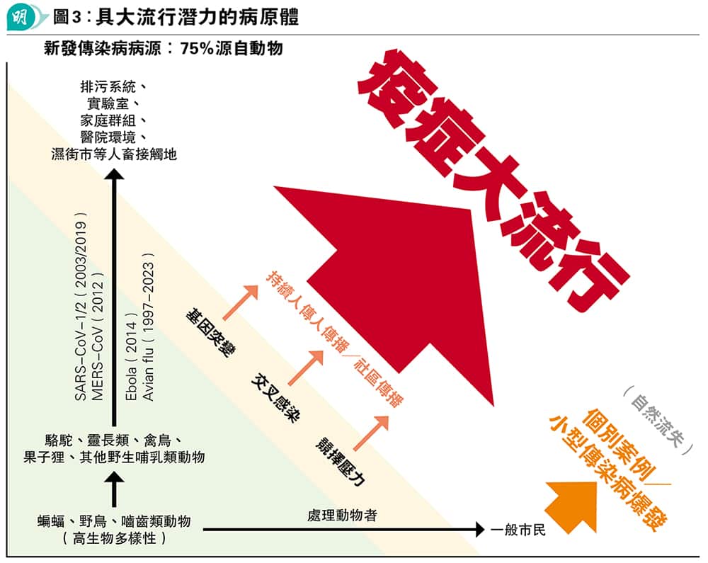 新冠教訓 港大4學者倡及早為大流行做準備預防爆發