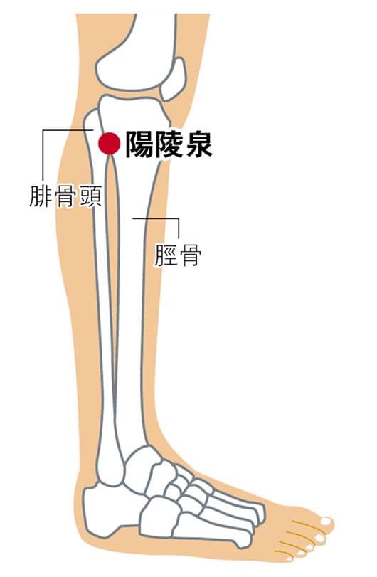 渣馬跑手注意：賽前戒口忌食酸辣 跑至抽筋按穴位3分鐘 賽後宜足浴