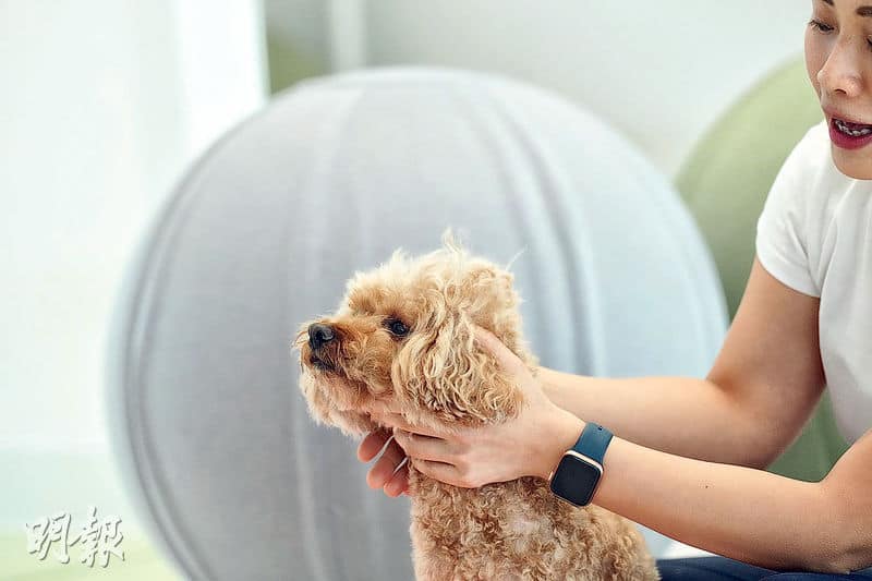 Doga狗狗瑜伽=dog+yoga 人寵齊做式子 簡單一張墊隨時練習