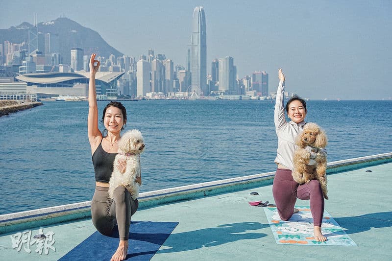 Doga狗狗瑜伽=dog+yoga 人寵齊做式子 簡單一張墊隨時練習